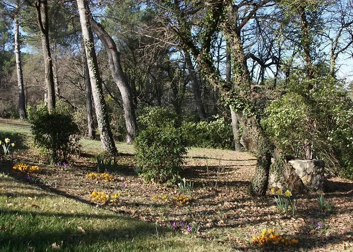 Il Sole
